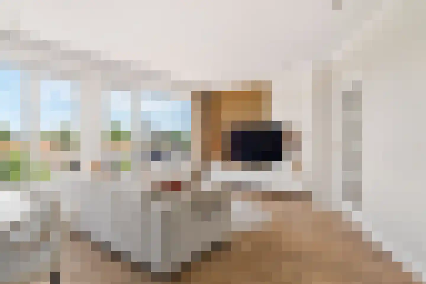 Oranjelaan 59 Zoetermeer thumbnail 18