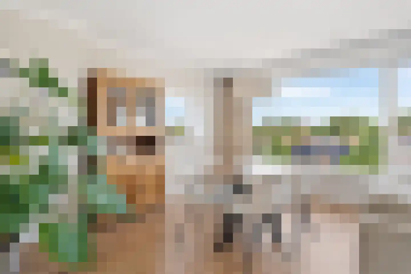 Oranjelaan 59 Zoetermeer thumbnail 19