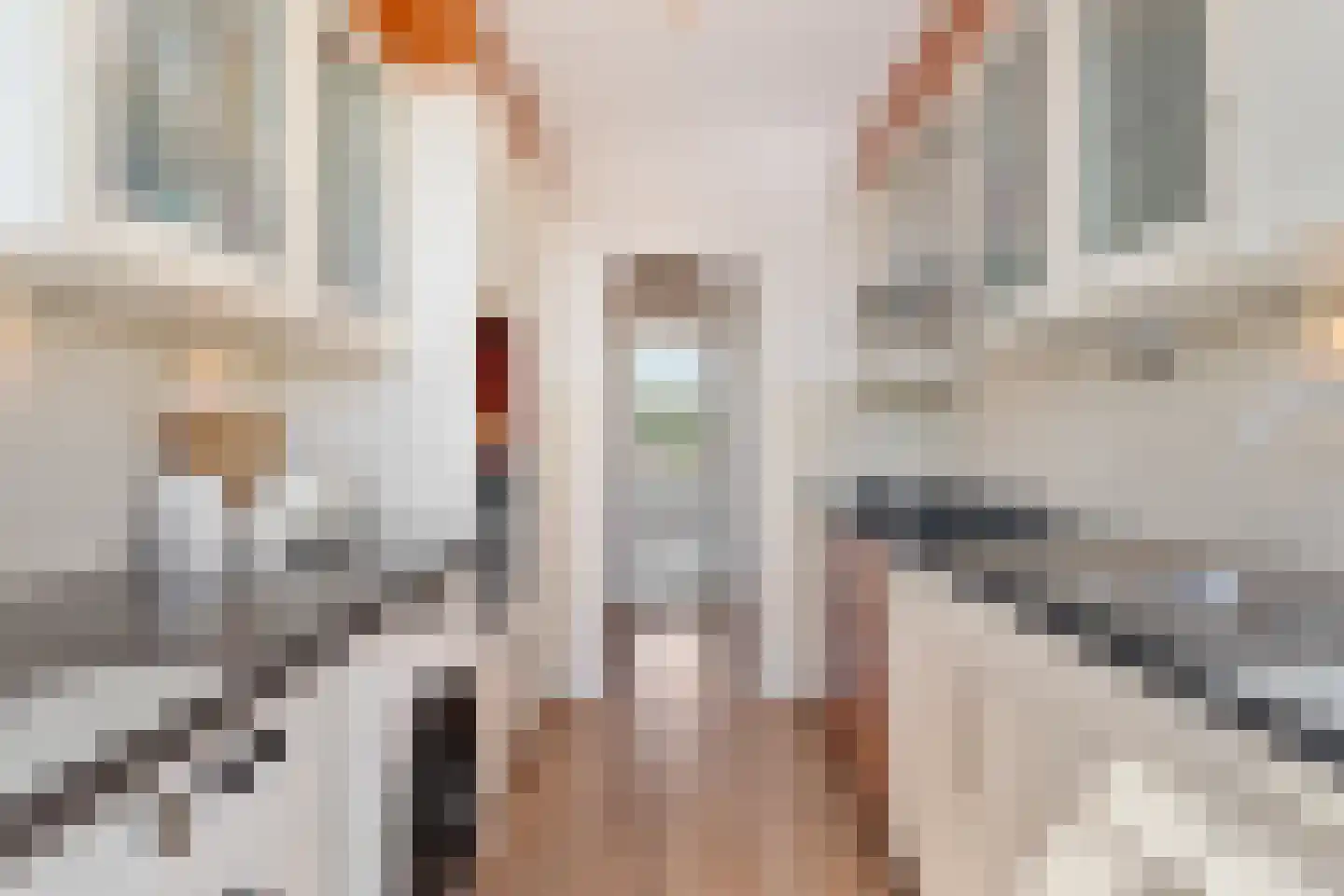 Oranjelaan 59 Zoetermeer thumbnail 27