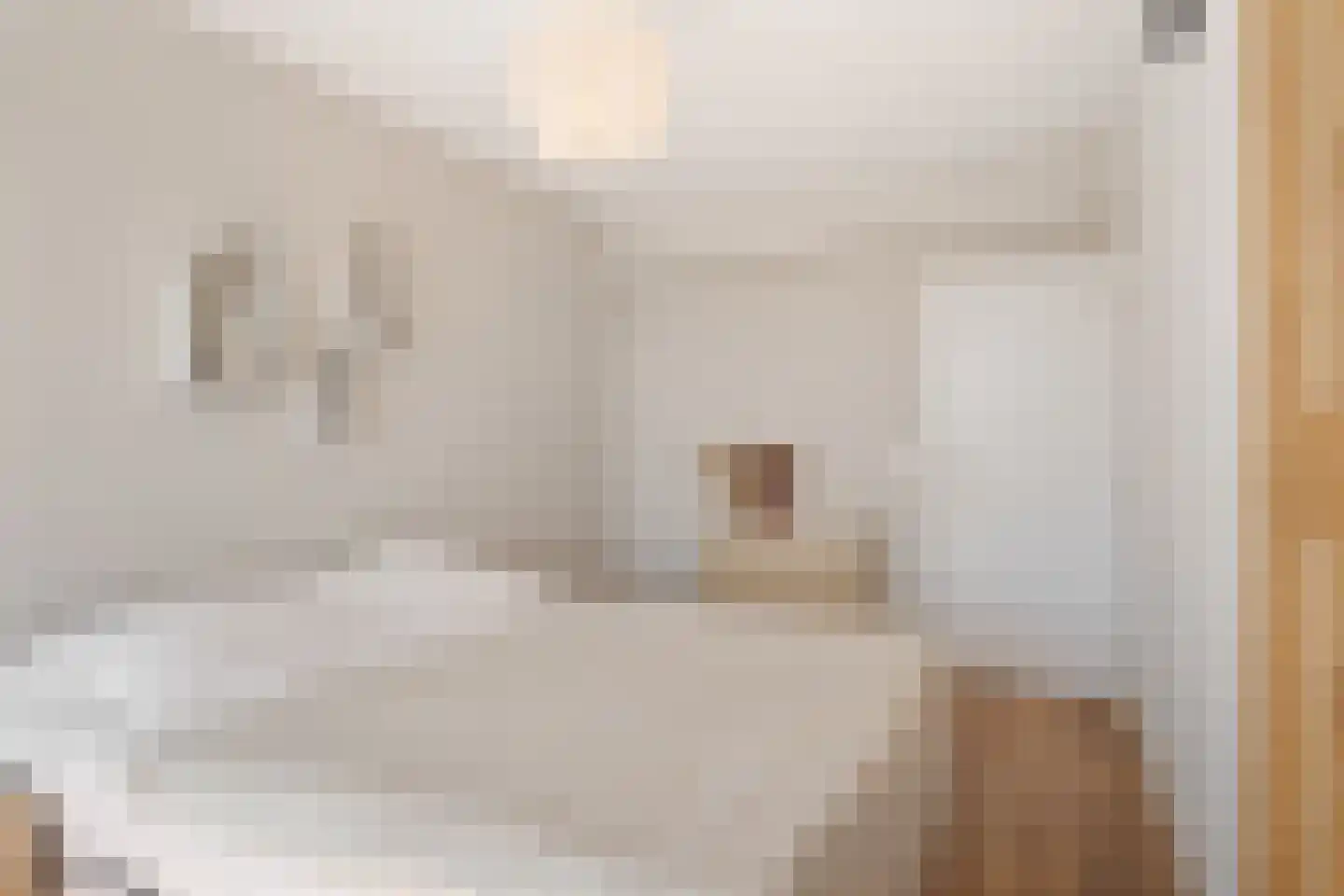 Oranjelaan 59 Zoetermeer thumbnail 33