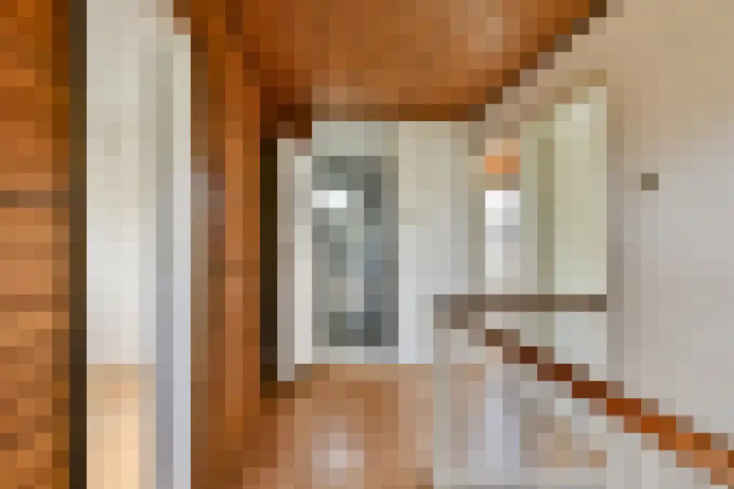 Oranjelaan 6 Spijkenisse thumbnail 16