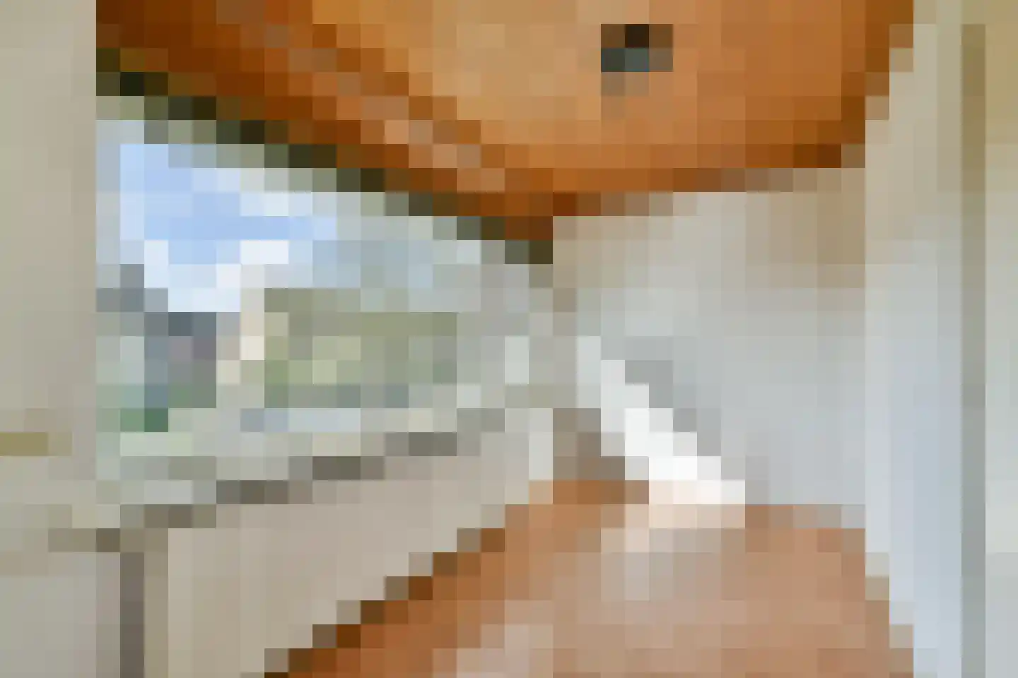 Oranjelaan 6 Spijkenisse thumbnail 20