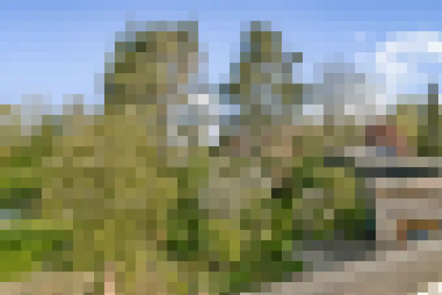 Oranjelaan 6 Spijkenisse thumbnail 26