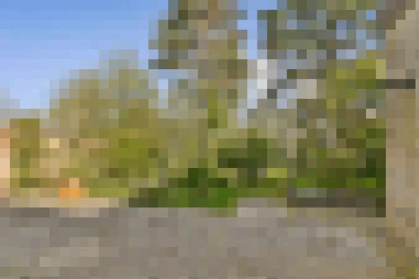 Oranjelaan 6 Spijkenisse thumbnail 28