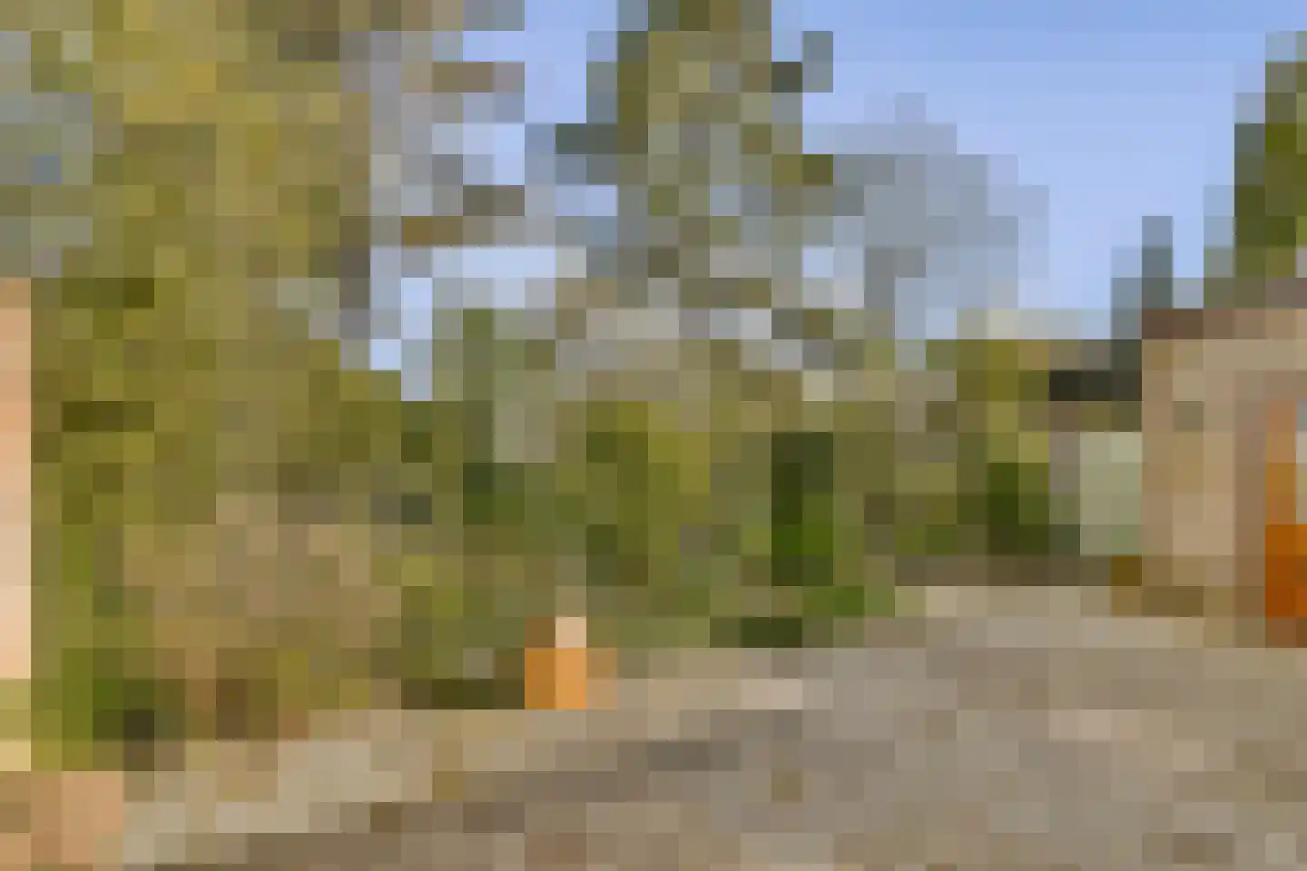 Oranjelaan 6 Spijkenisse thumbnail 29