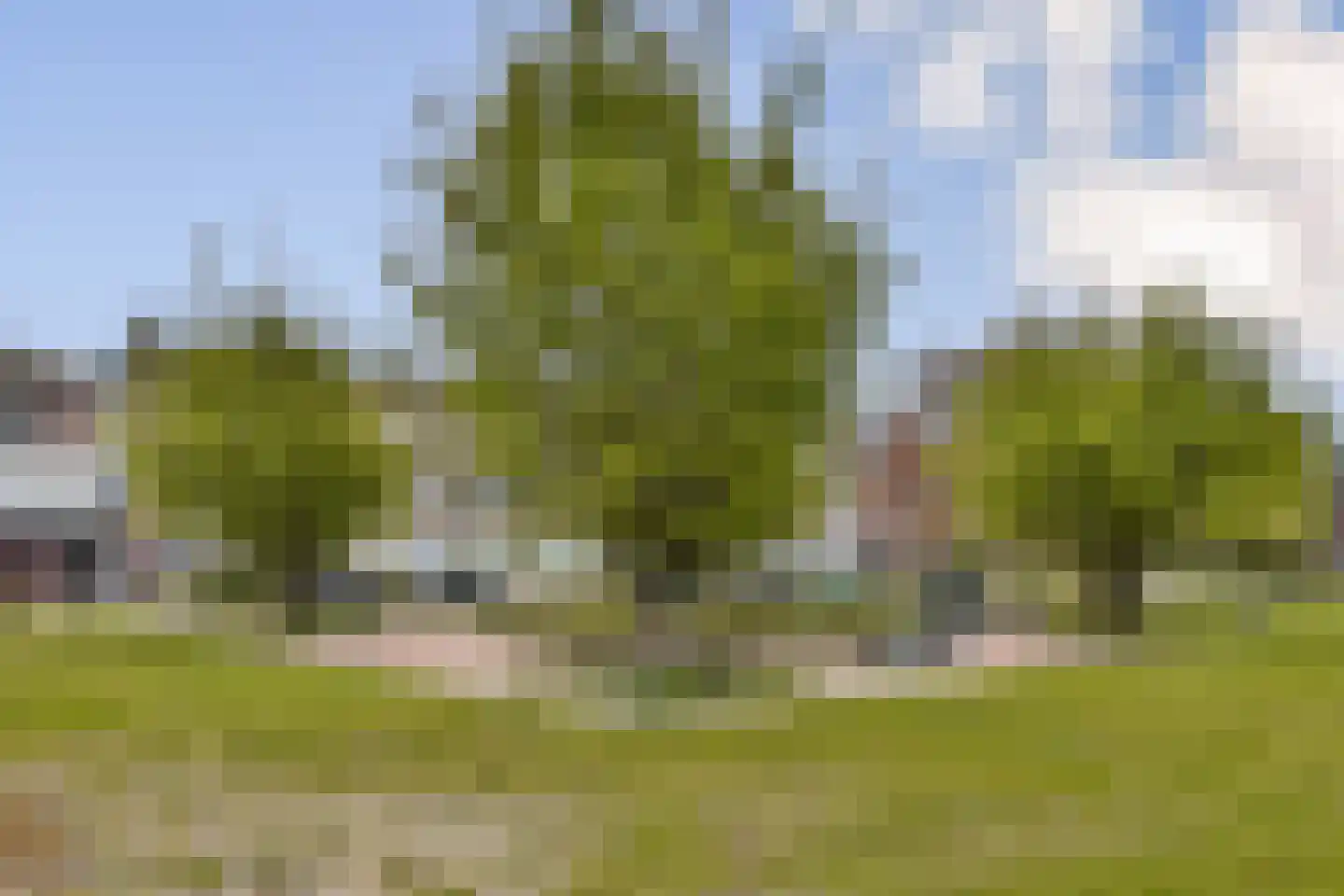 Oranjelaan 6 Spijkenisse thumbnail 35