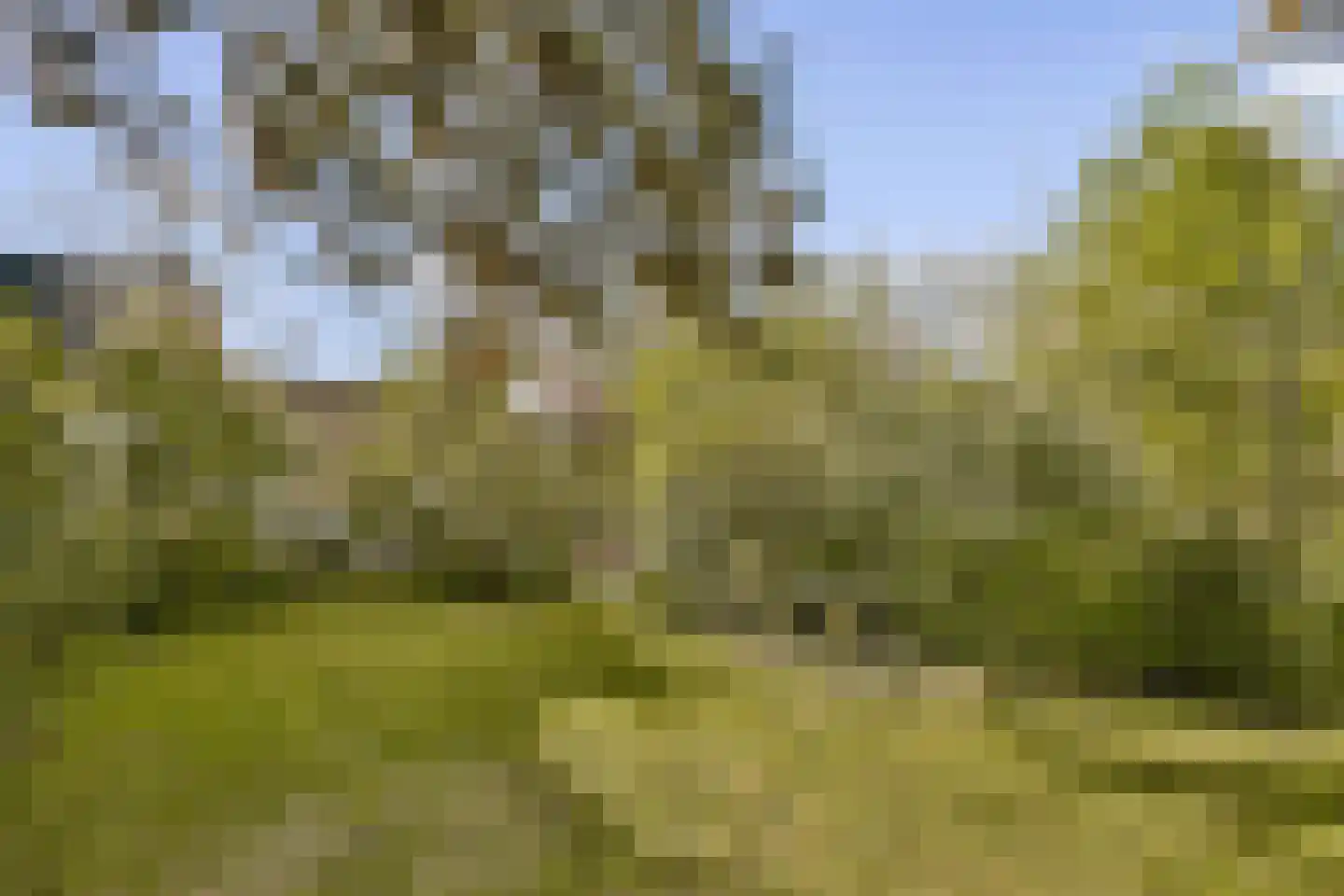 Oranjelaan 6 Spijkenisse thumbnail 5