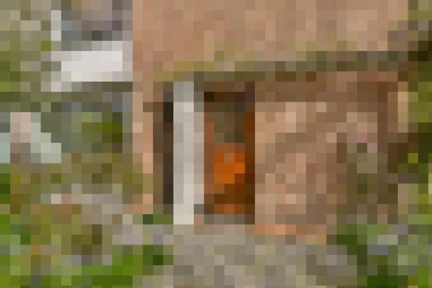 Oranjelaan 6 Spijkenisse thumbnail 6