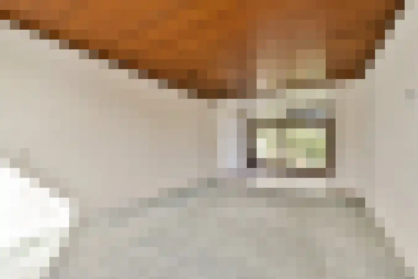 Oranjelaan 6 Spijkenisse thumbnail 9