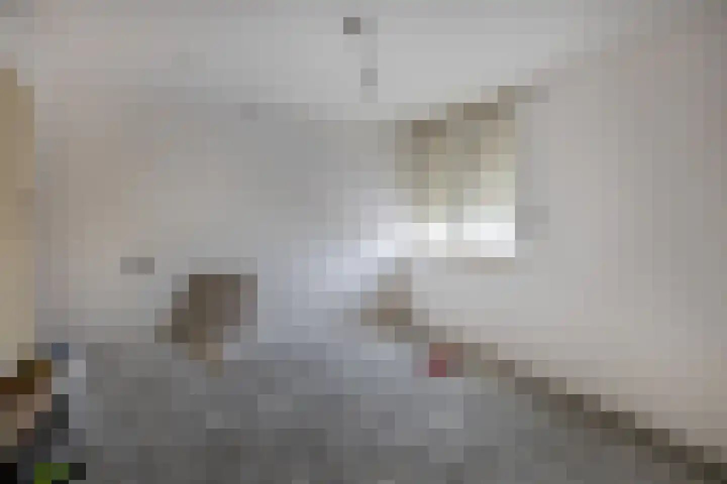 Oranjelaan 6 Zevenbergen thumbnail 11
