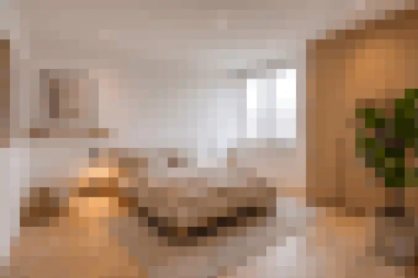 Oranjelaan 6 Zevenbergen thumbnail 12
