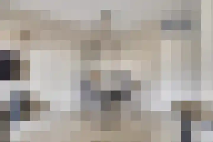 Oranjelaan 61 Nunspeet thumbnail 10