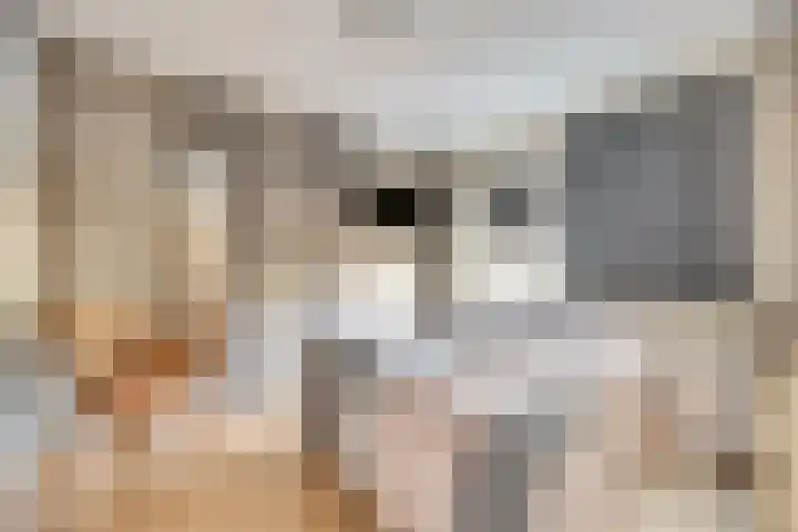 Oranjelaan 61 Nunspeet thumbnail 15