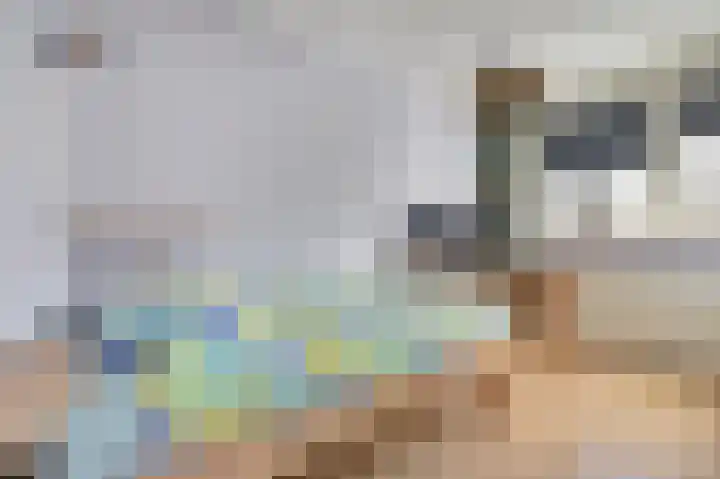 Oranjelaan 61 Nunspeet thumbnail 17