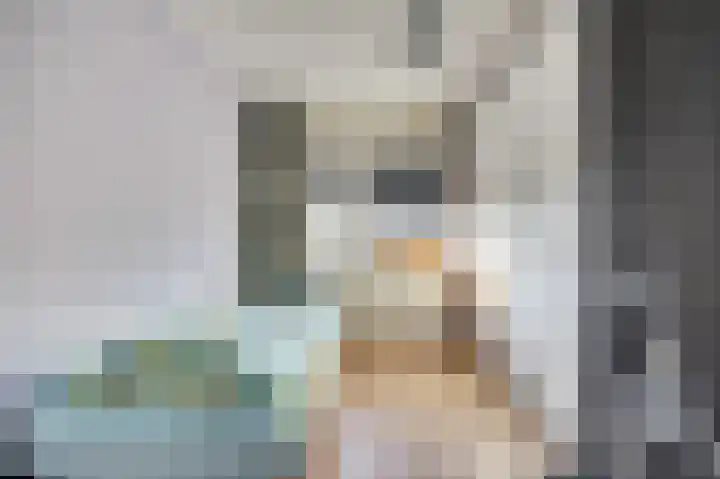 Oranjelaan 61 Nunspeet thumbnail 19