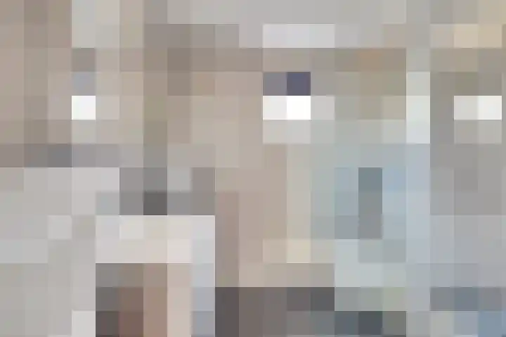 Oranjelaan 61 Nunspeet thumbnail 21