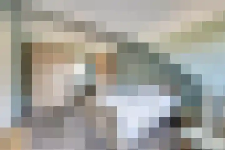 Oranjelaan 61 Nunspeet thumbnail 26