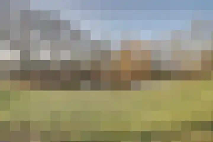 Oranjelaan 61 Nunspeet thumbnail 29