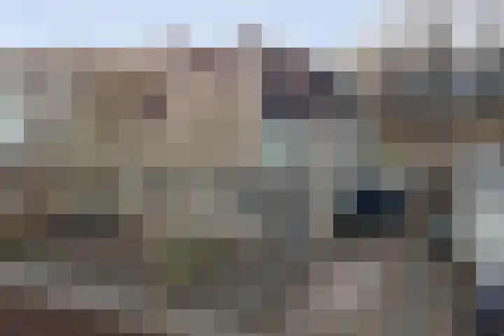 Oranjelaan 61 Nunspeet thumbnail 32