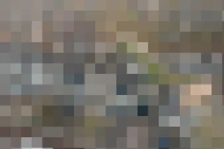 Oranjelaan 61 Nunspeet thumbnail 33