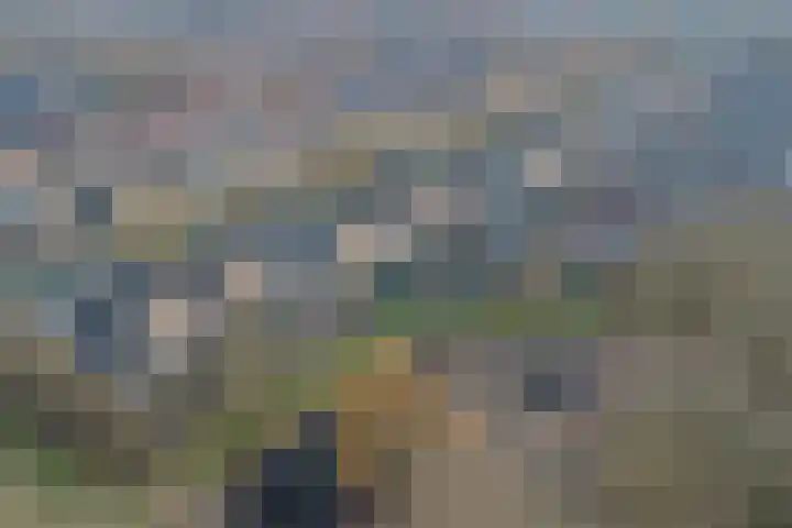 Oranjelaan 61 Nunspeet thumbnail 36