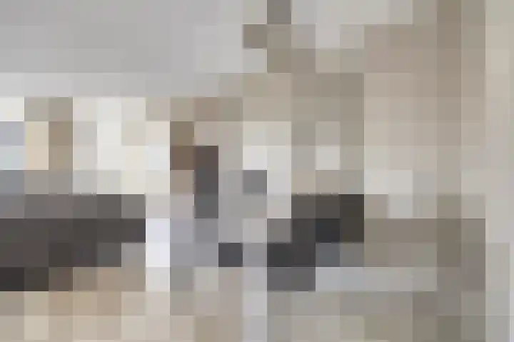 Oranjelaan 61 Nunspeet thumbnail 9