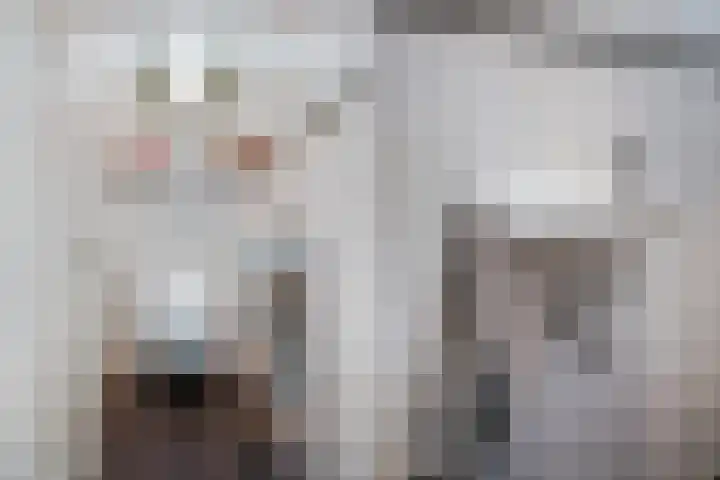 Oranjelaan 64 Alkmaar thumbnail 30