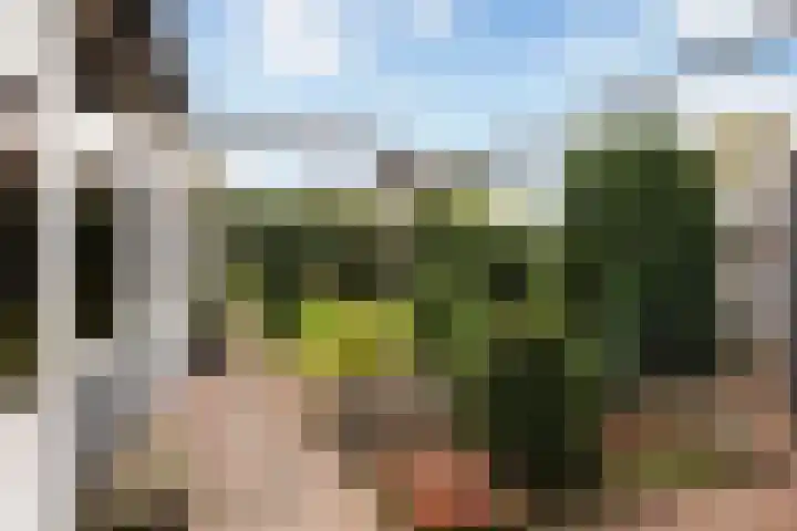 Oranjelaan 64 Alkmaar thumbnail 35