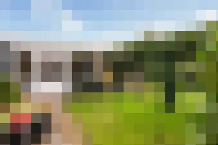 Oranjelaan 64 Alkmaar thumbnail 37