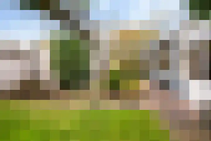 Oranjelaan 64 Alkmaar thumbnail 39