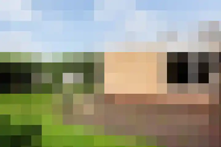 Oranjelaan 64 Alkmaar thumbnail 41