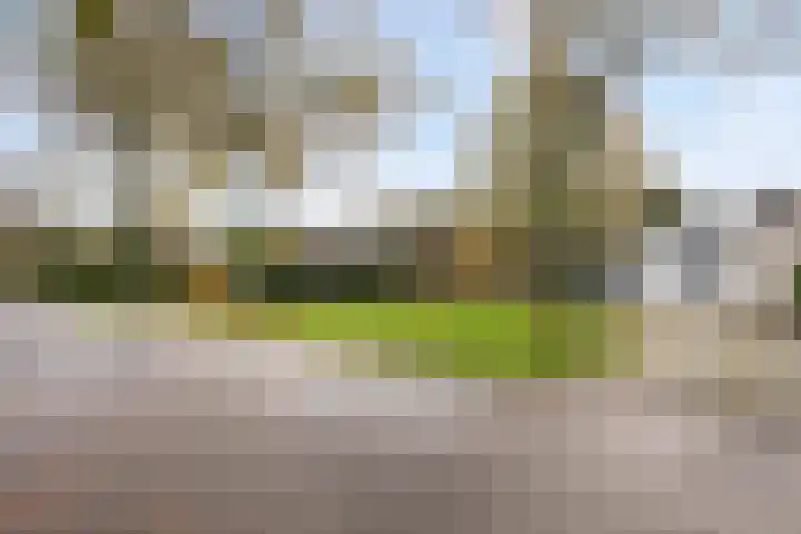 Oranjelaan 64 Alkmaar thumbnail 7