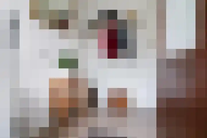 Oranjelaan 64 Alkmaar thumbnail 9