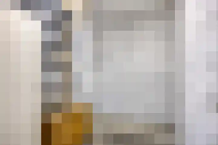 Oranjelaan 71 Zoetermeer thumbnail 15