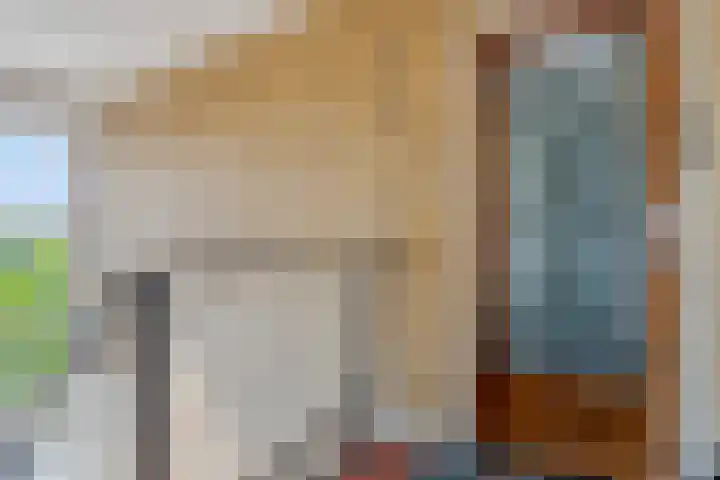 Oranjelaan 71 Zoetermeer thumbnail 18