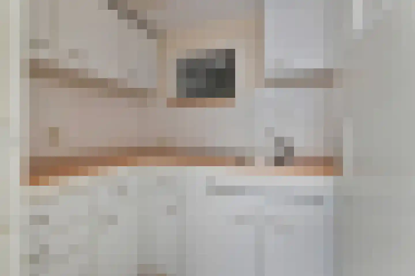 Oranjelaan 72 Rijswijk thumbnail 25