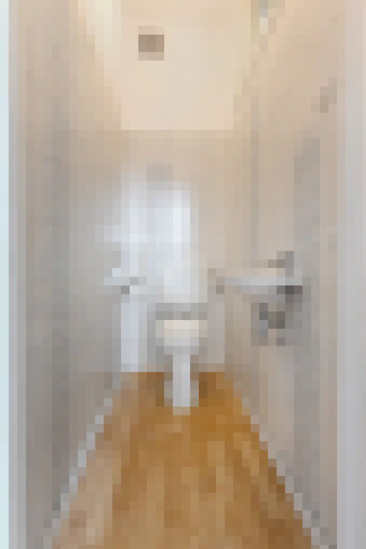 Oranjelaan 72 Rijswijk thumbnail 37