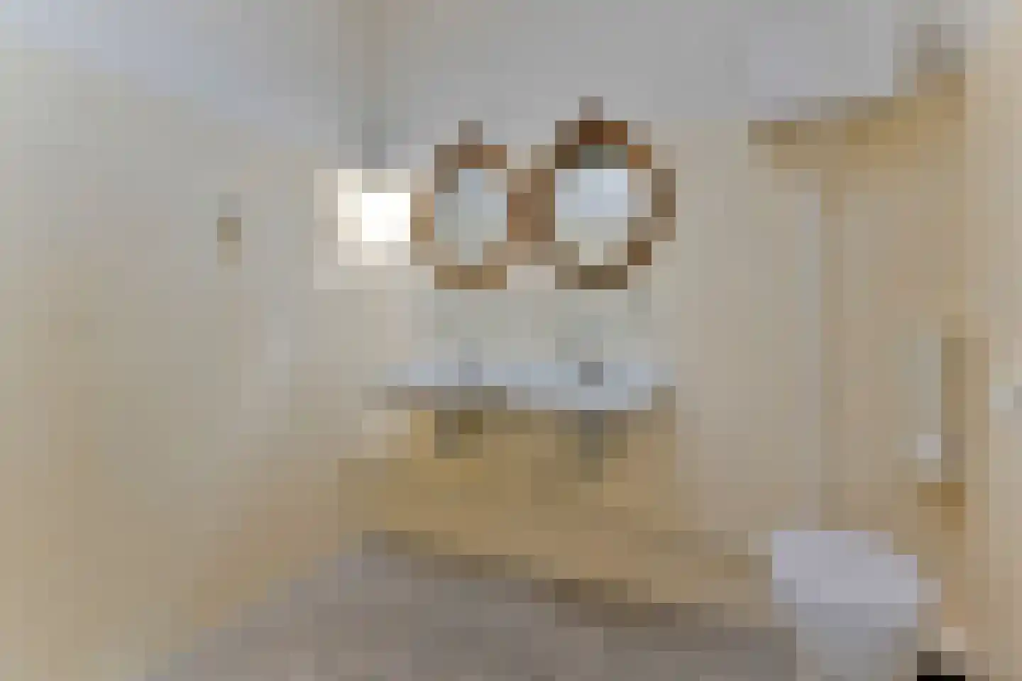 Oranjelaan 72 Rijswijk thumbnail 49