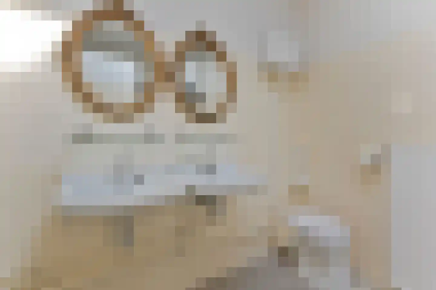 Oranjelaan 72 Rijswijk thumbnail 50