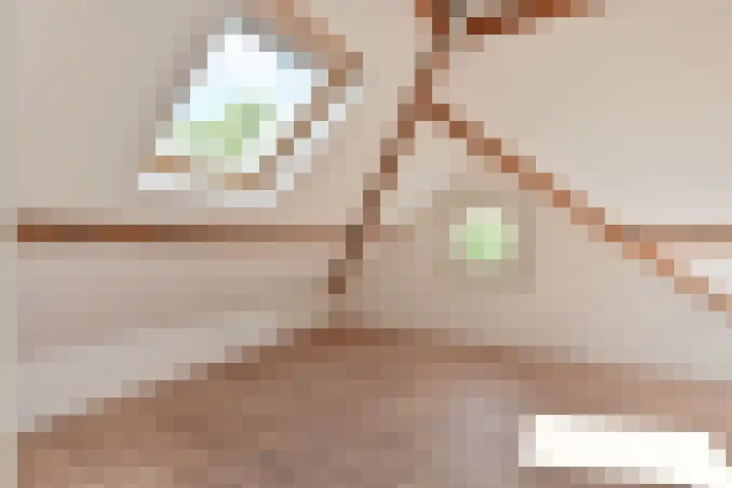 Oranjelaan 72 Rijswijk thumbnail 58