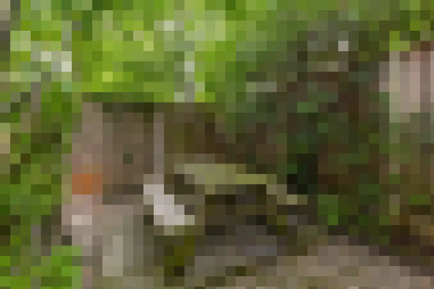 Oranjelaan 72 Rijswijk thumbnail 62