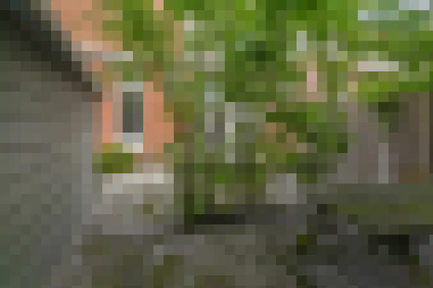 Oranjelaan 72 Rijswijk thumbnail 64