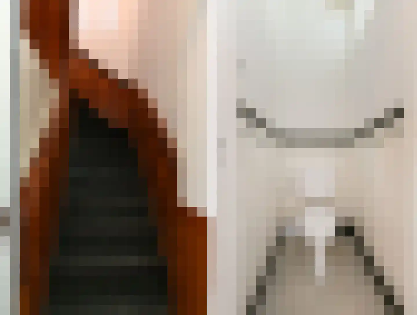 Oranjelaan 72 Rijswijk thumbnail 9