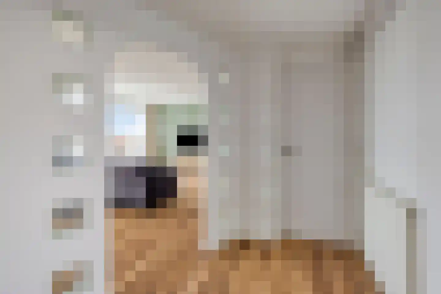 Oranjelaan 73 Zoetermeer thumbnail 10
