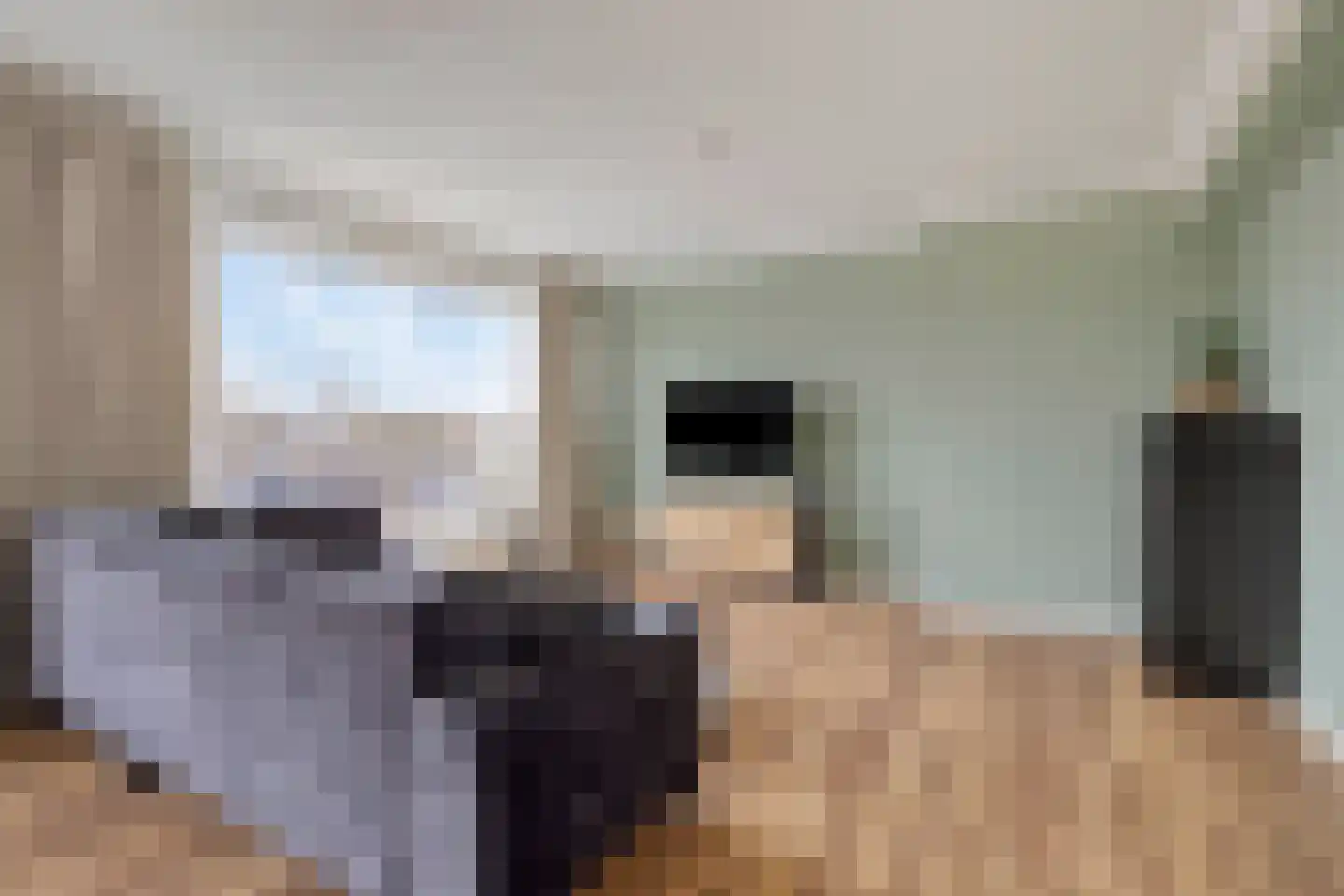 Oranjelaan 73 Zoetermeer thumbnail 11