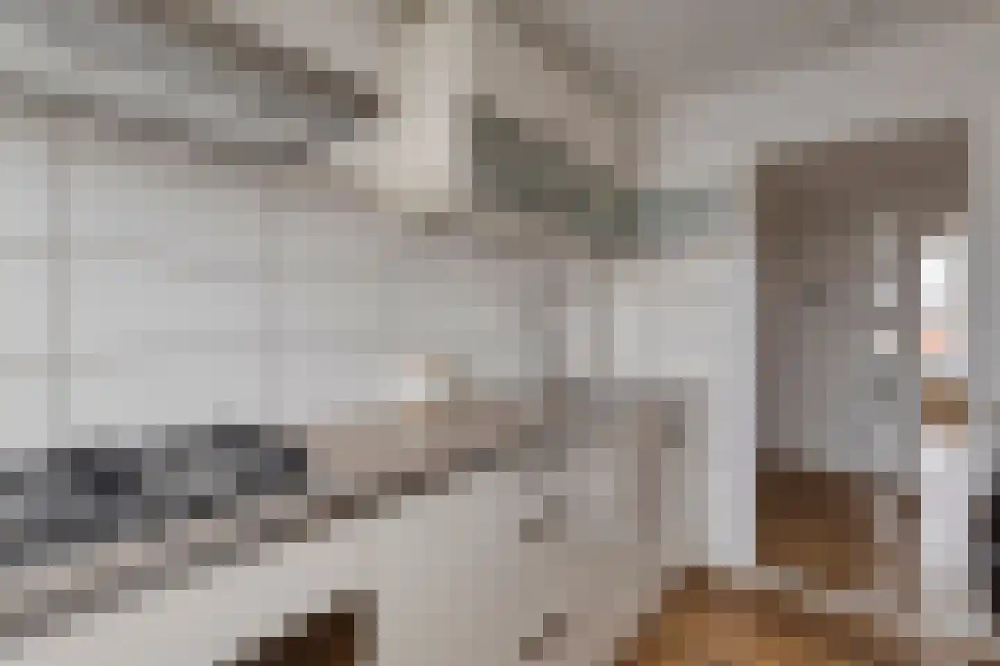 Oranjelaan 73 Zoetermeer thumbnail 19