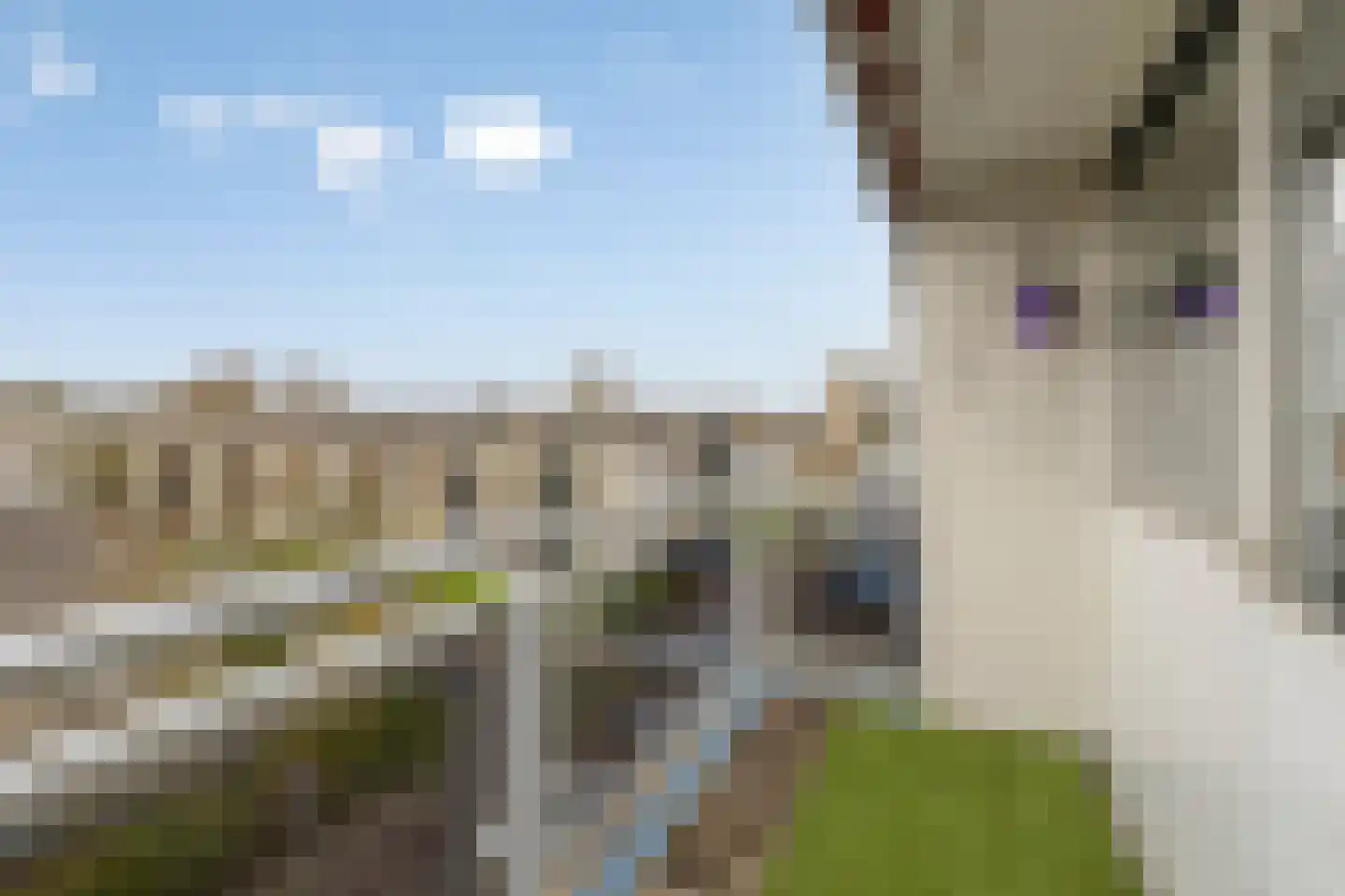 Oranjelaan 73 Zoetermeer thumbnail 27