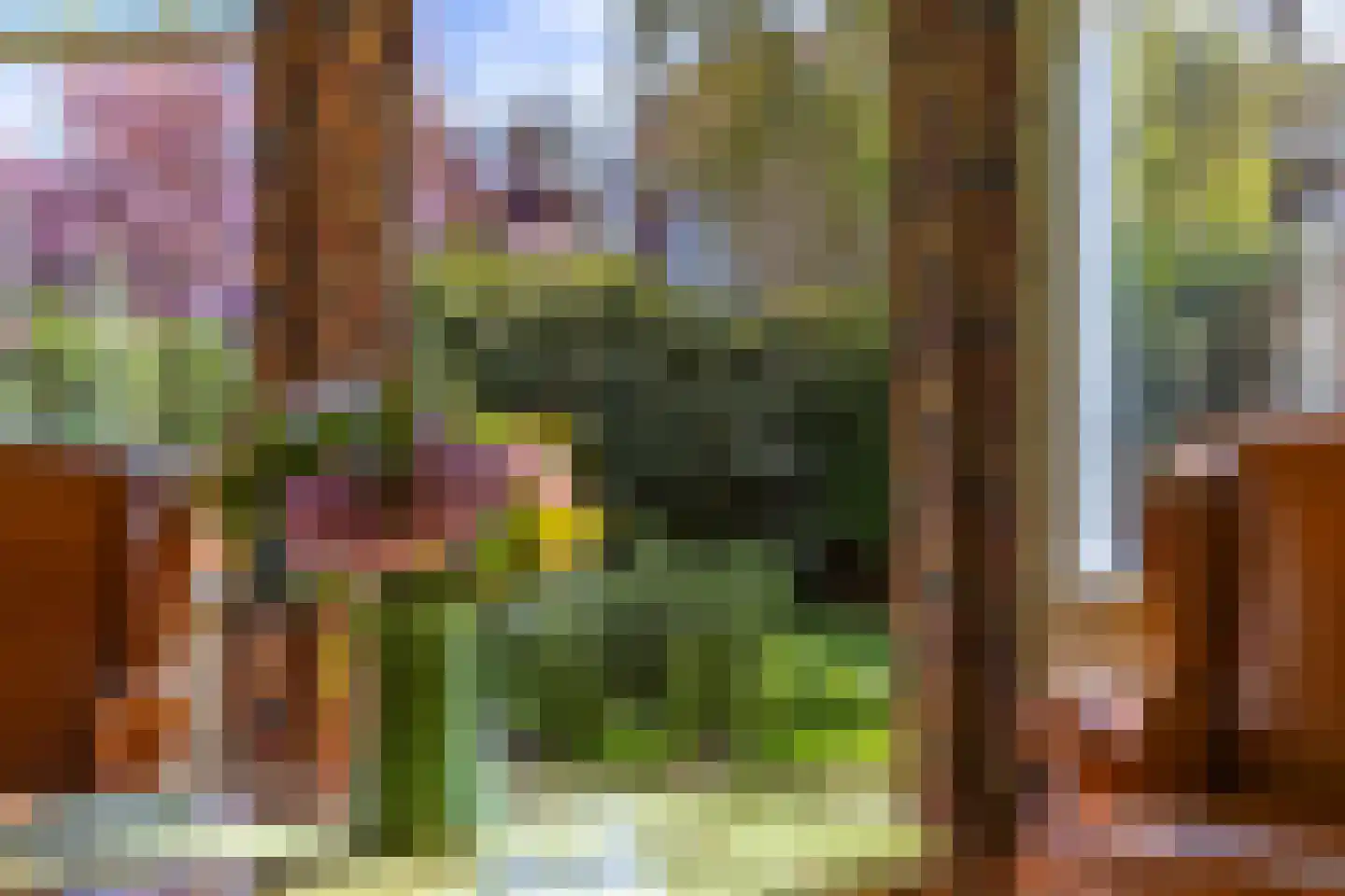 Oranjelaan 78 Rijswijk thumbnail 15