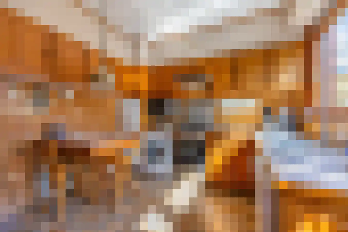 Oranjelaan 78 Rijswijk thumbnail 18