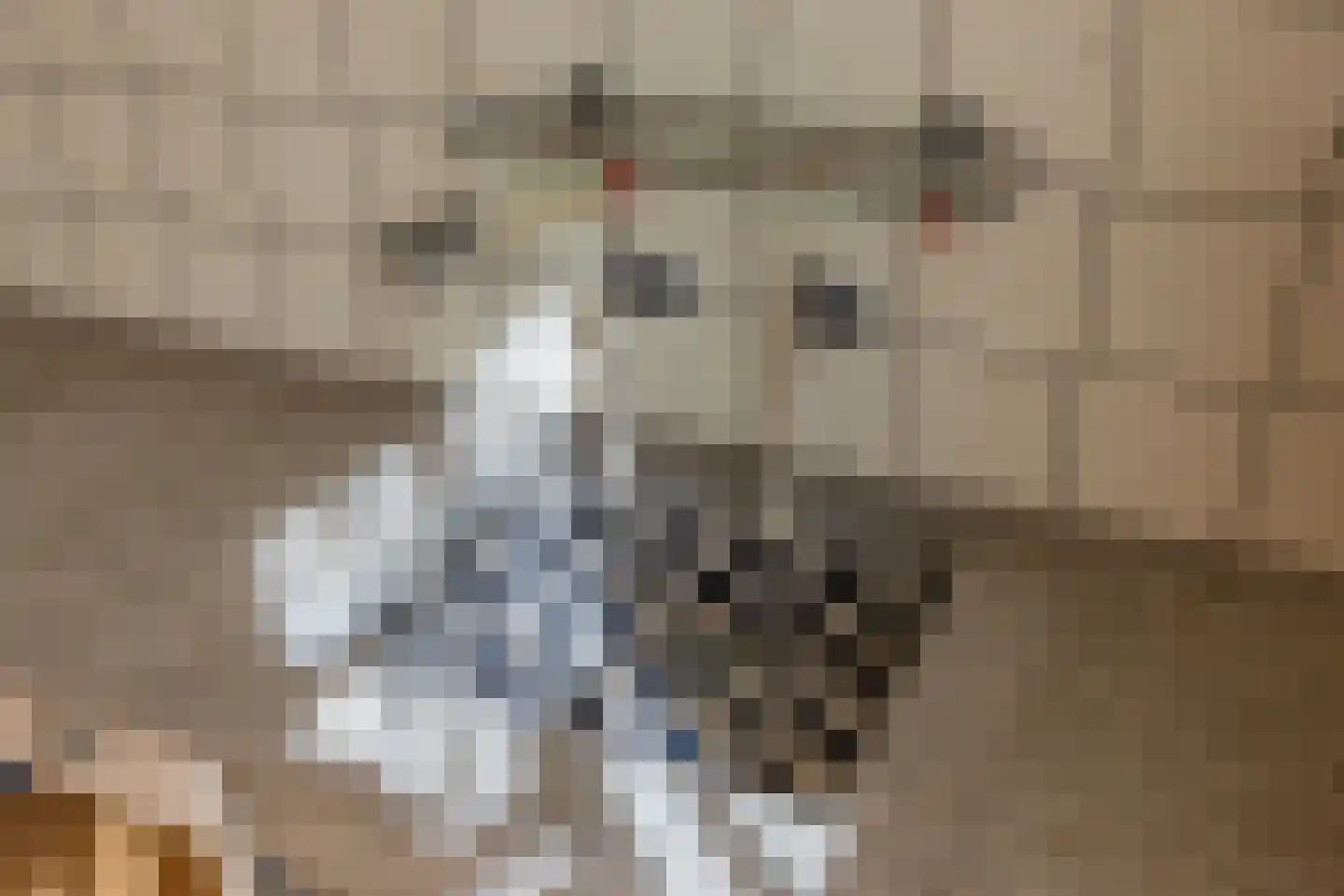 Oranjelaan 78 Rijswijk thumbnail 46
